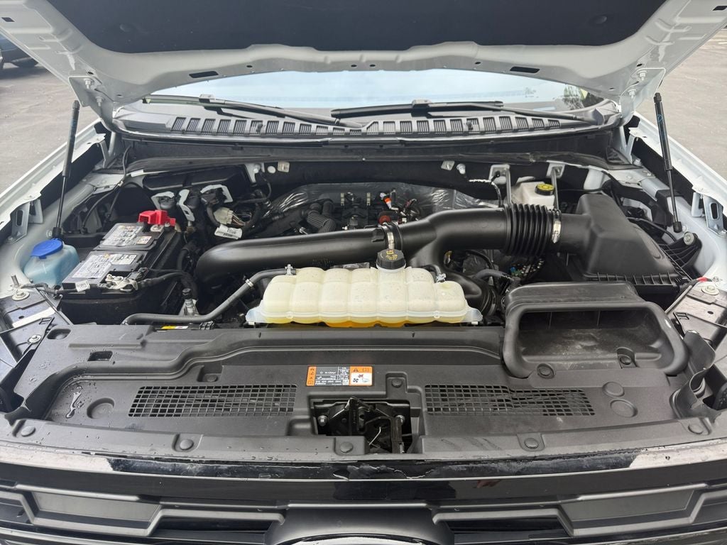 2025 Ford Expedition Active MAX