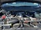 2023 Ford Super Duty F-350 DRW XL